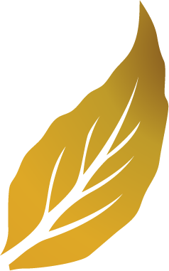 sheet